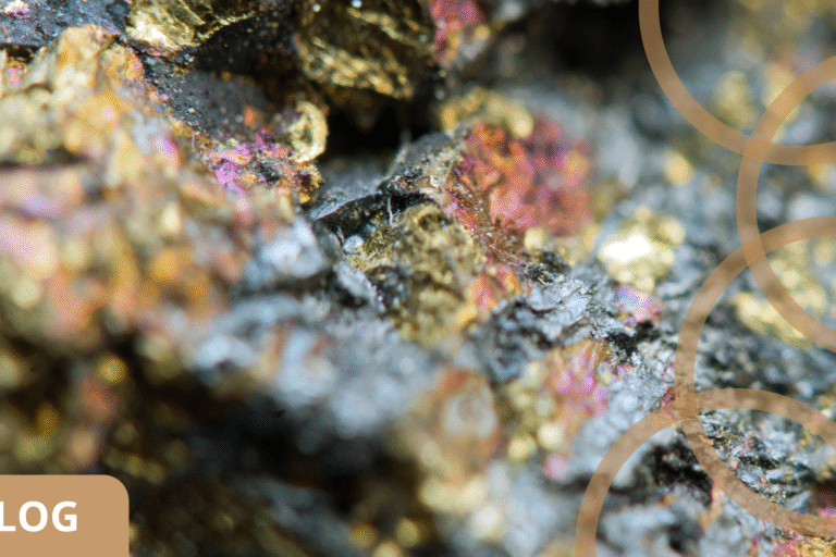 Wintervoorbereiding & edelmetaal